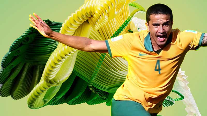 Tim Cahill.