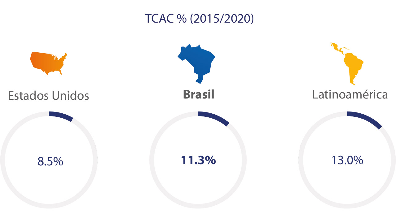Visa - Brasil, Estadísticas 2015/2020 Visa - Brasil, Estadísticas 2015/2020